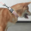 Fruit Cute Personalized Dog Collar Plastic Buckle, Custom Pet Collar Bow Tie, Leash
