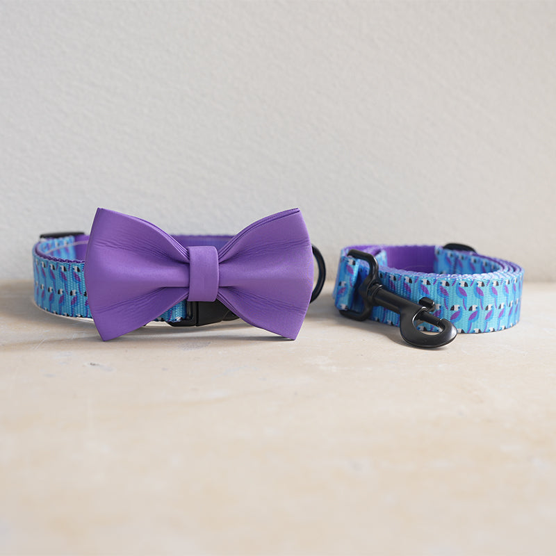 Cute Personalized Dog Collar Plastic Buckle, Custom Pet Collar Bow Tie, Leash