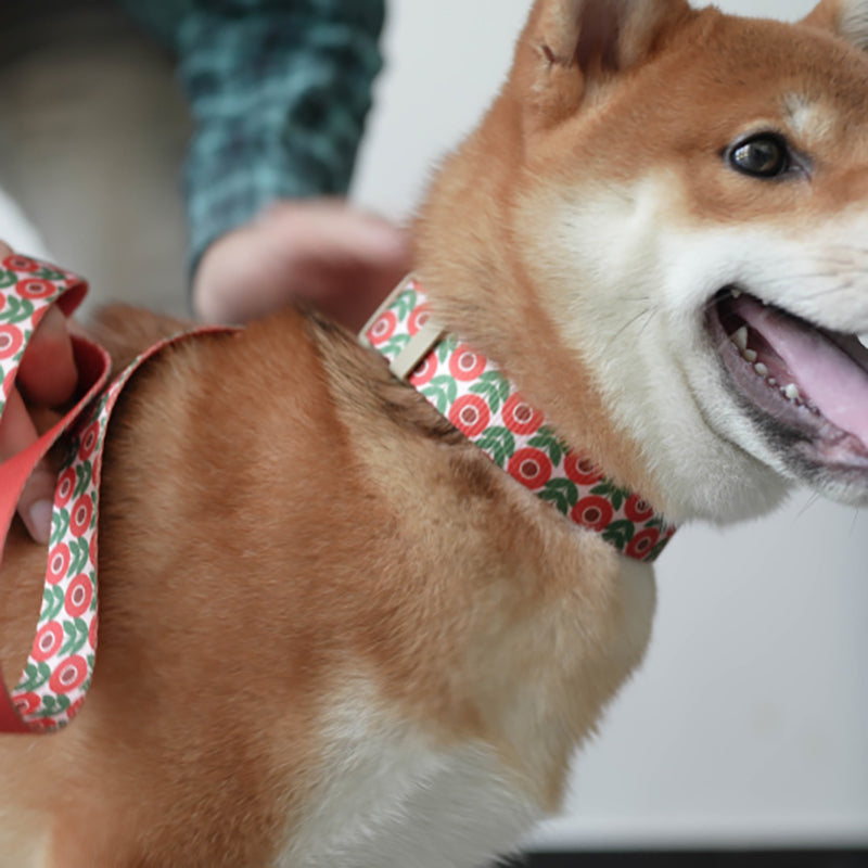 Flower Cute Personalized Dog Collar with Plastic Buckle