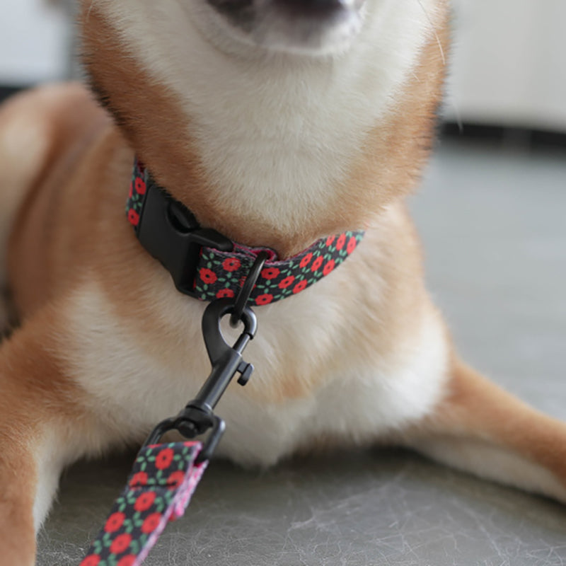 Plastic Buckle Cute Personalized Dog Collar, Custom Pet Collar Bow Tie, Leash