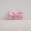 Cute Flower Personalized Dog Collar with Plastic Buckle
