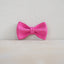Cute Personalized Dog Collar with Plastic Buckle