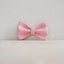 Flower Cute Personalized Dog Collar with Plastic Buckle