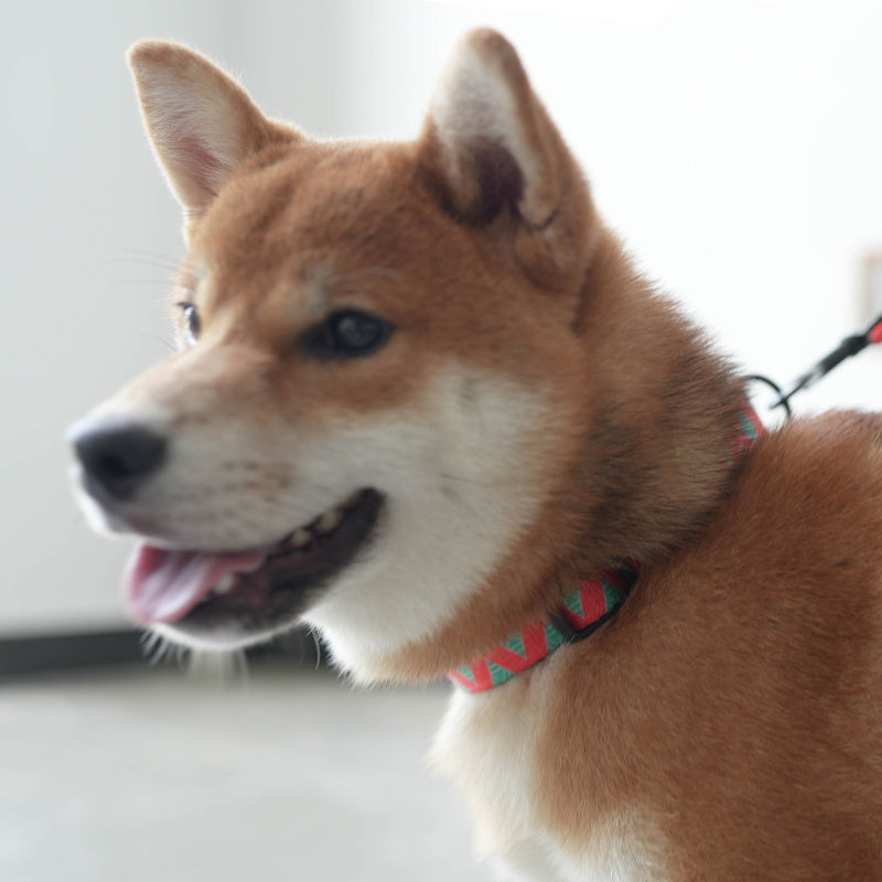 Cute Personalized Dog Collar Plastic Buckle, Custom Pet Collar Bow Tie, Leash