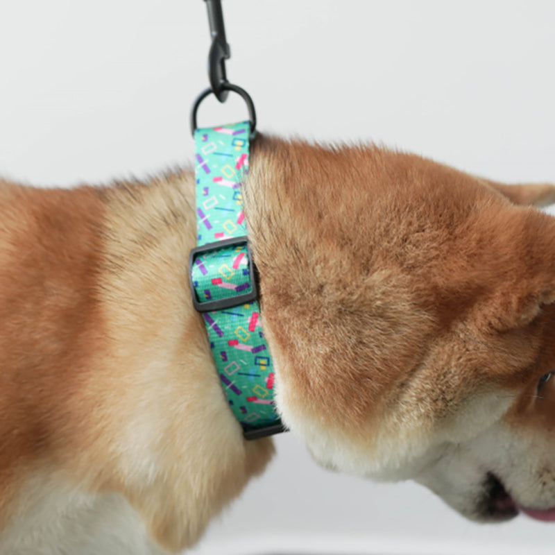 Halloween Cute Personalized Dog Collar with Plastic Buckle
