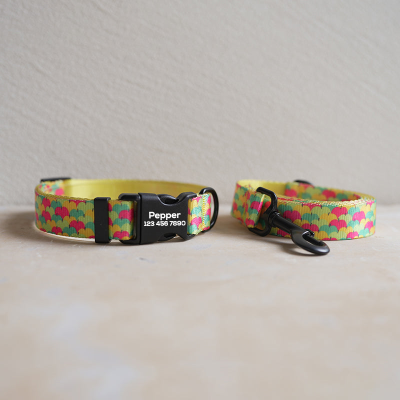 Fruit Cute Personalized Dog Collar Plastic Buckle, Custom Pet Collar Bow Tie, Leash