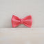 Cute Personalized Dog Collar with Plastic Buckle