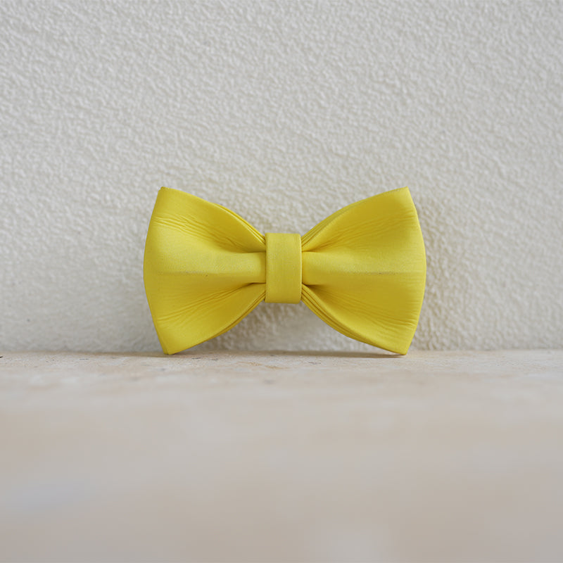 Fruit Cute Personalized Dog Collar Plastic Buckle, Custom Pet Collar Bow Tie, Leash