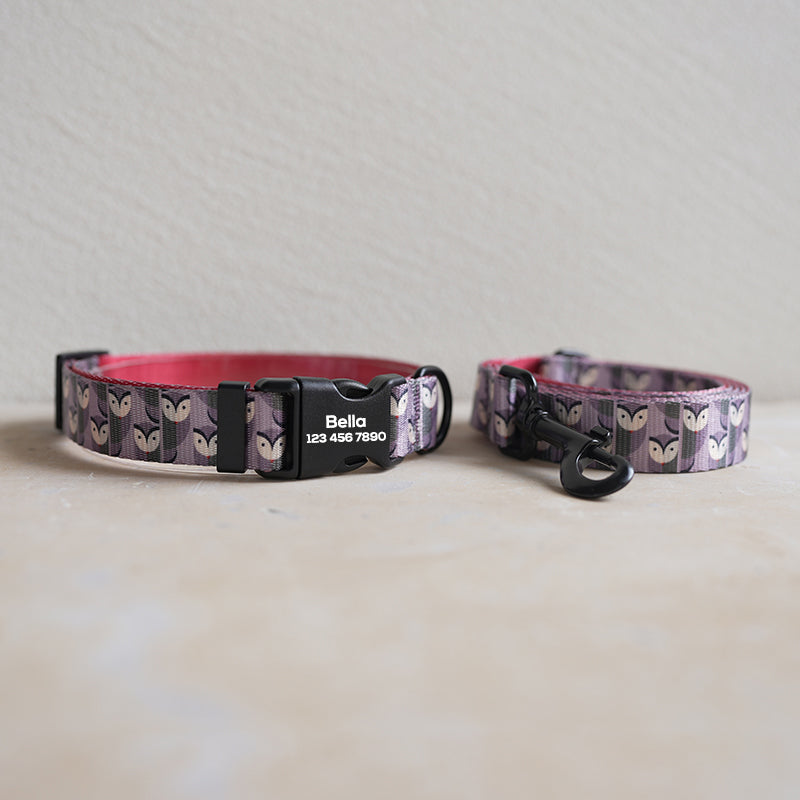 Cute Personalized Dog Collar Plastic Buckle, Custom Pet Collar Bow Tie, Leash