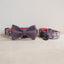 Cute Personalized Dog Collar Plastic Buckle, Custom Pet Collar Bow Tie, Leash