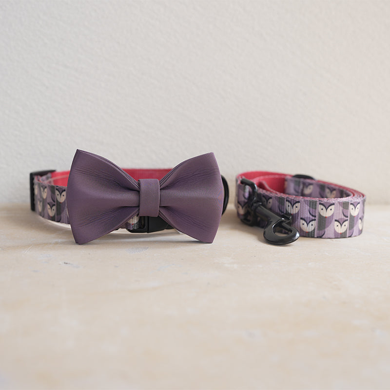 Cute Personalized Dog Collar Plastic Buckle, Custom Pet Collar Bow Tie, Leash