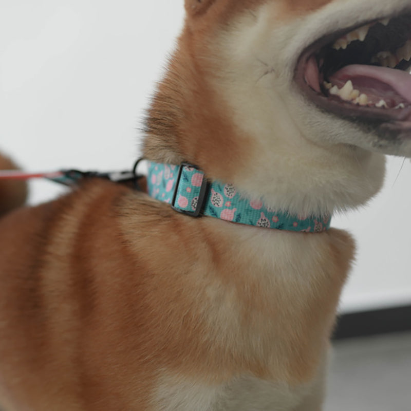 Fruit Cute Personalized Dog Collar Plastic Buckle, Custom Pet Collar Bow Tie, Leash