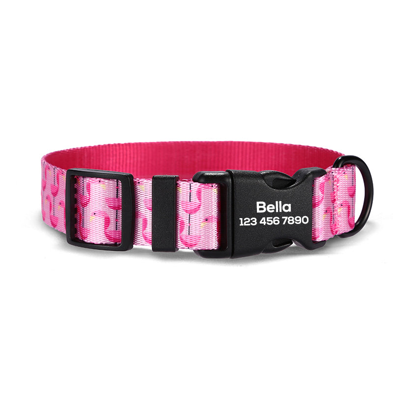 Cute Personalized Dog Collar Plastic Buckle, Custom Pet Collar Bow Tie, Leash
