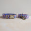 Cute Flower Personalized Dog Collar with Plastic Buckle