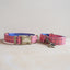 Cute Personalized Dog Collar with Plastic Buckle