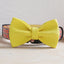 Plastic Buckle Cute Personalized Dog Collar, Custom Pet Collar Bow Tie, Leash