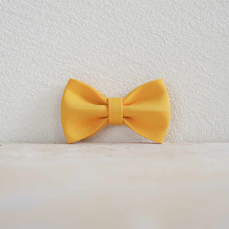 Plastic Buckle Cute Personalized Dog Collar, Custom Pet Collar Bow Tie, Leash