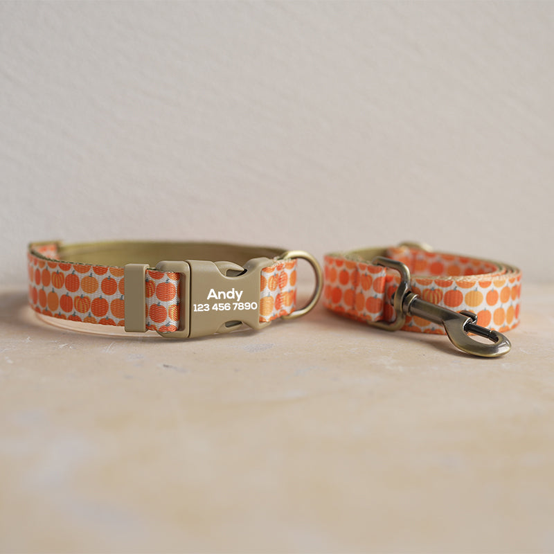 Cute Personalized Dog Collar with Plastic Buckle