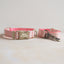 Cute Personalized Dog Collar with Plastic Buckle