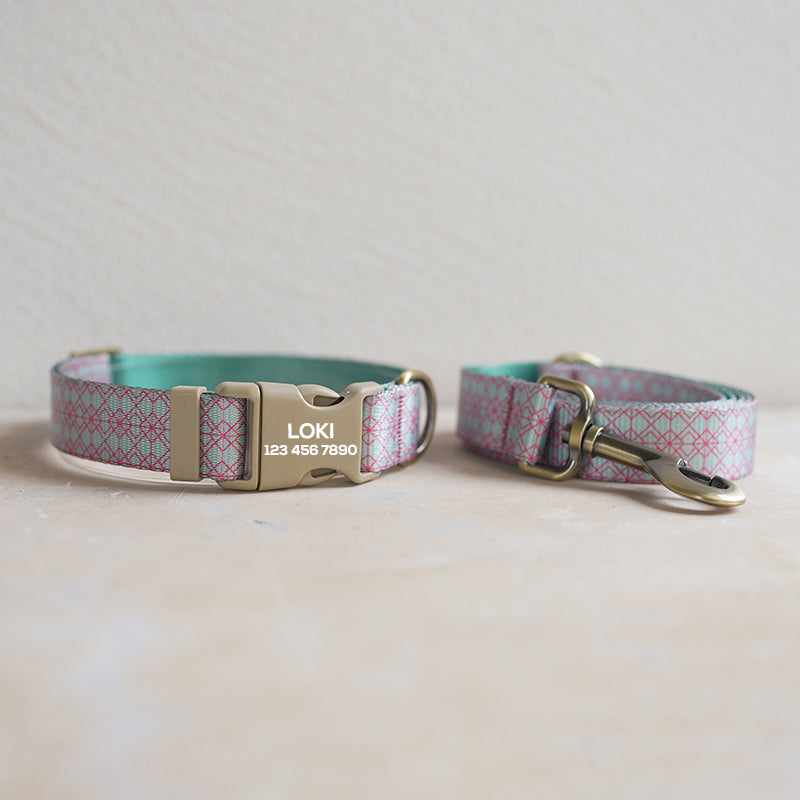 Cute Personalized Dog Collar with Plastic Buckle