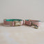 Cute Personalized Dog Collar with Plastic Buckle
