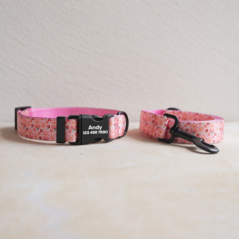 Plastic Buckle Cute Personalized Dog Collar, Custom Pet Collar Bow Tie, Leash