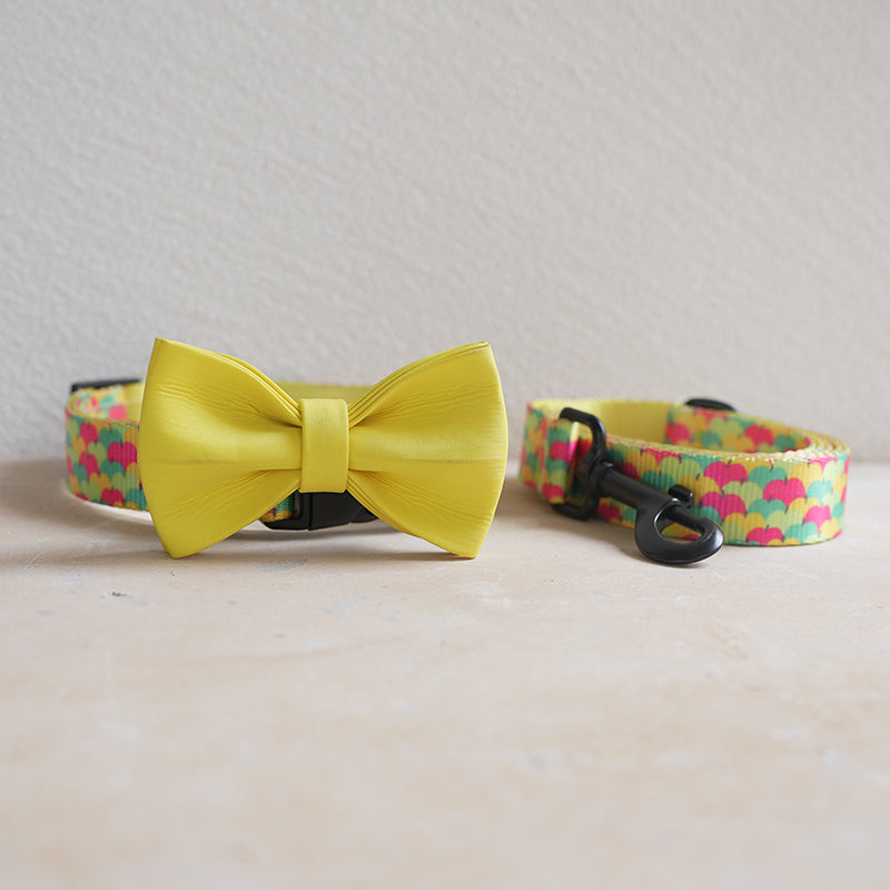 Fruit Cute Personalized Dog Collar Plastic Buckle, Custom Pet Collar Bow Tie, Leash