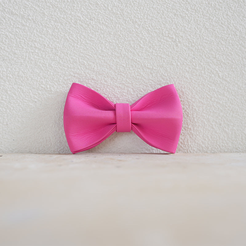 Cute Personalized Dog Collar Plastic Buckle, Custom Pet Collar Bow Tie, Leash