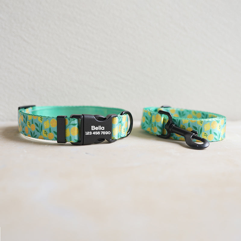 Fruit Cute Personalized Dog Collar Plastic Buckle, Custom Pet Collar Bow Tie, Leash