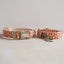Cute Personalized Dog Collar with Plastic Buckle