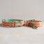 Cute Personalized Dog Collar with Plastic Buckle