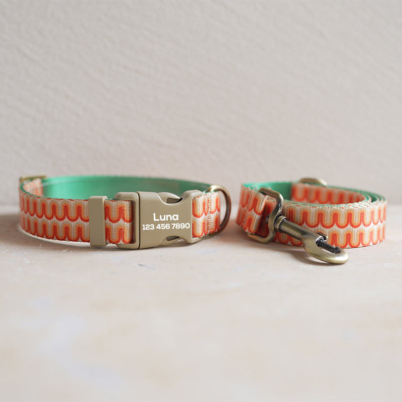 Cute Personalized Dog Collar with Plastic Buckle