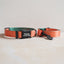 Halloween Cute Personalized Dog Collar with Plastic Buckle