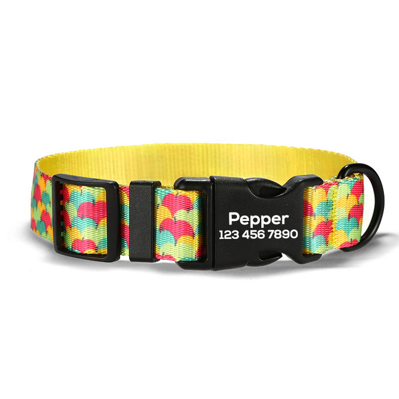 Fruit Cute Personalized Dog Collar Plastic Buckle, Custom Pet Collar Bow Tie, Leash