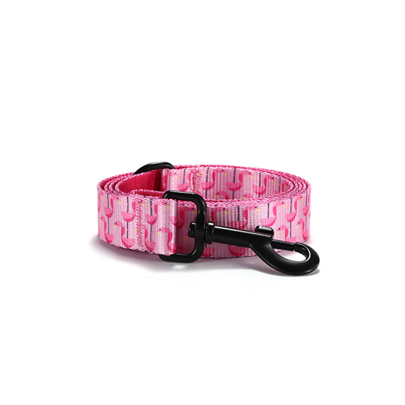Cute Personalized Dog Collar Plastic Buckle, Custom Pet Collar Bow Tie, Leash