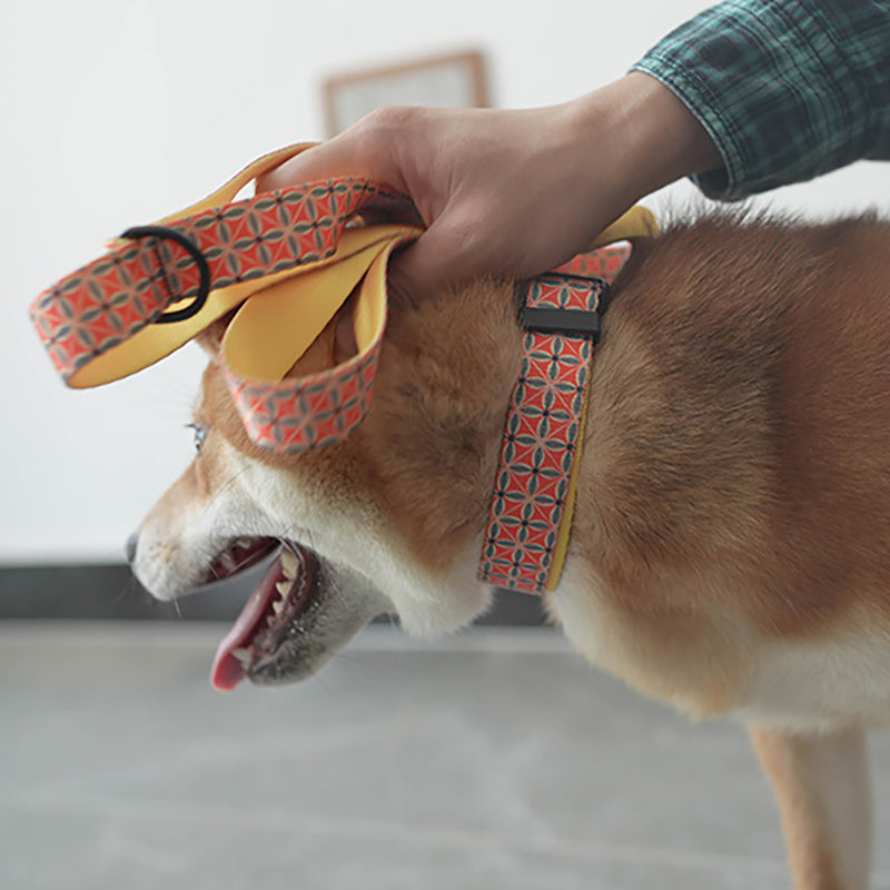 Plastic Buckle Cute Personalized Dog Collar, Custom Pet Collar Bow Tie, Leash