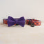Halloween Cute Personalized Dog Collar with Plastic Buckle