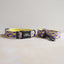 Cute Personalized Dog Collar Plastic Buckle, Custom Pet Collar Bow Tie, Leash