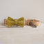 Cute Flower Personalized Dog Collar with Plastic Buckle
