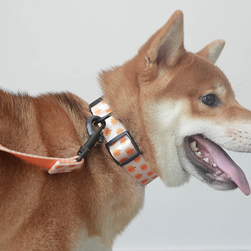 Fruit Cute Personalized Dog Collar Plastic Buckle, Custom Pet Collar Bow Tie, Leash