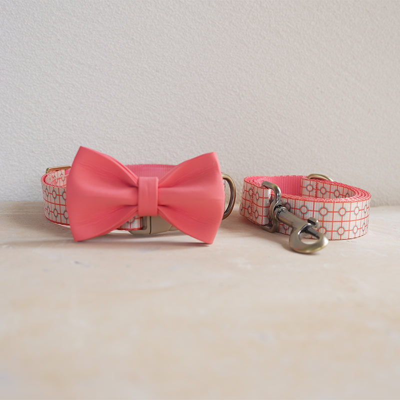 Cute Personalized Dog Collar with Plastic Buckle