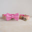 Cute Personalized Dog Collar with Plastic Buckle