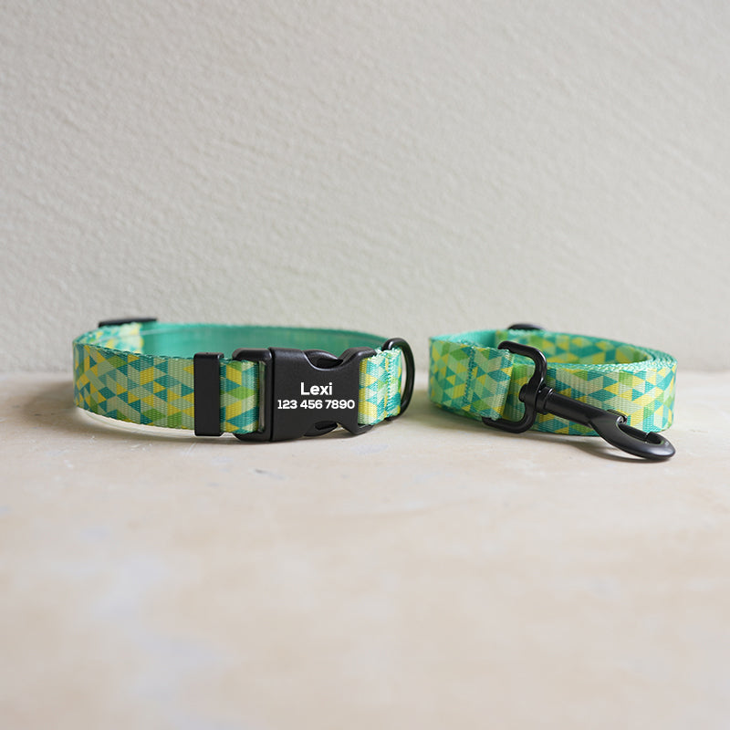 Cute Personalized Dog Collar Plastic Buckle, Custom Pet Collar Bow Tie, Leash