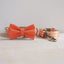 Cute Personalized Dog Collar with Plastic Buckle