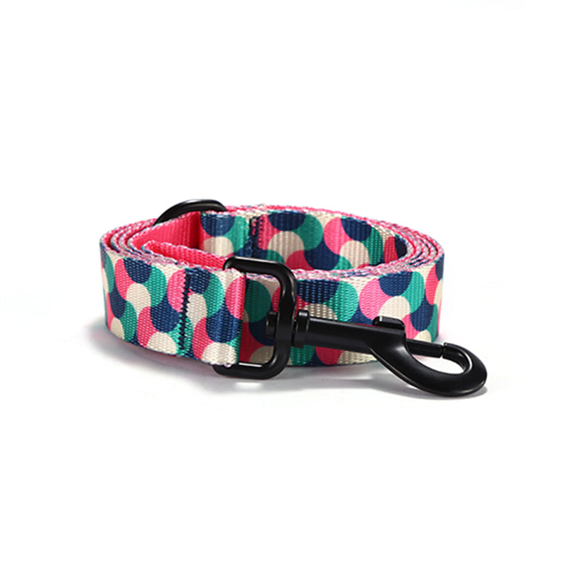 Cute Personalized Dog Collar Plastic Buckle, Custom Pet Collar Bow Tie, Leash