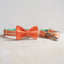 Cute Personalized Dog Collar with Plastic Buckle