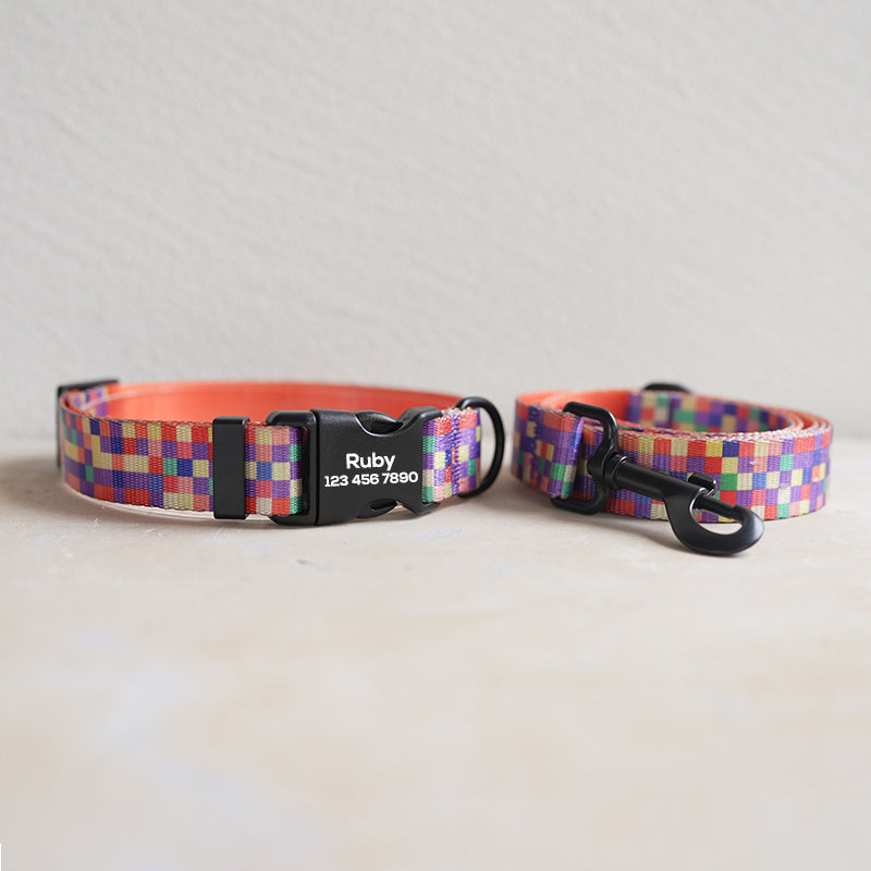 Plastic Buckle Cute Personalized Dog Collar, Custom Pet Collar Bow Tie, Leash