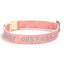 Customizable Reflective Leather-Textured Anti-Lost Personalized Dog Collar