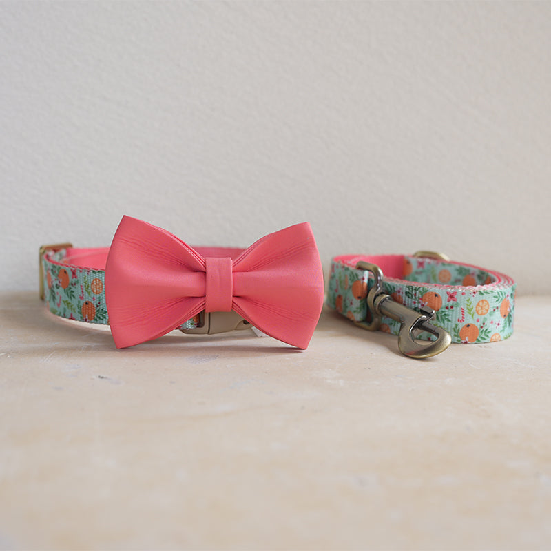 Cute Personalized Dog Collar with Plastic Buckle