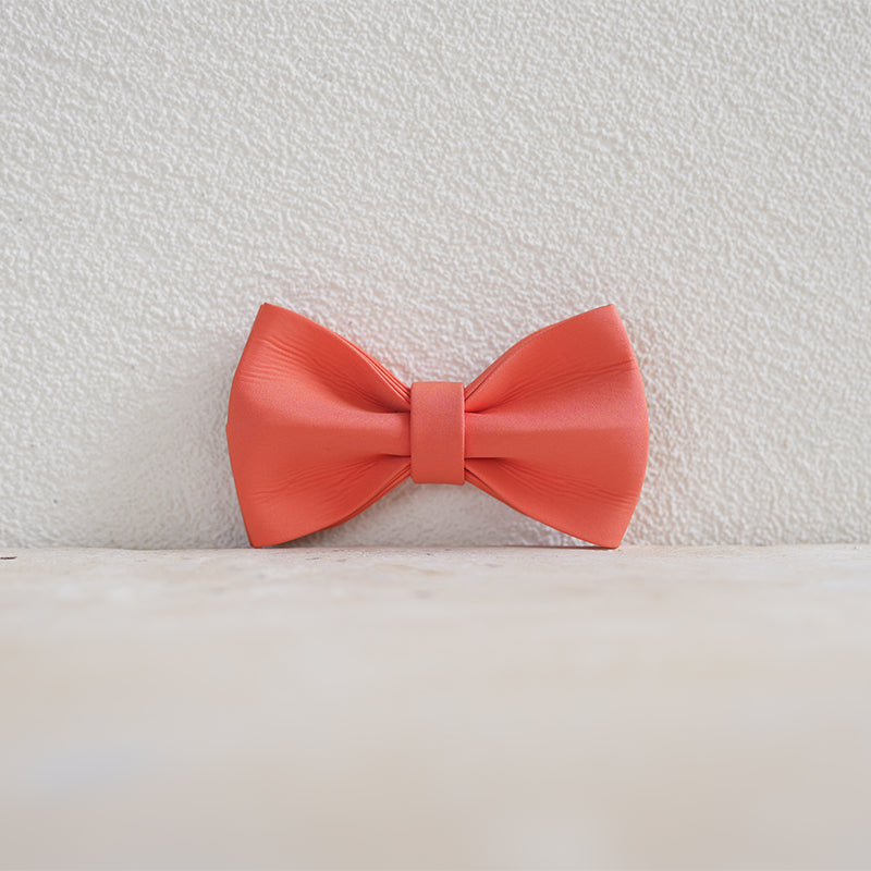 Fruit Cute Personalized Dog Collar Plastic Buckle, Custom Pet Collar Bow Tie, Leash